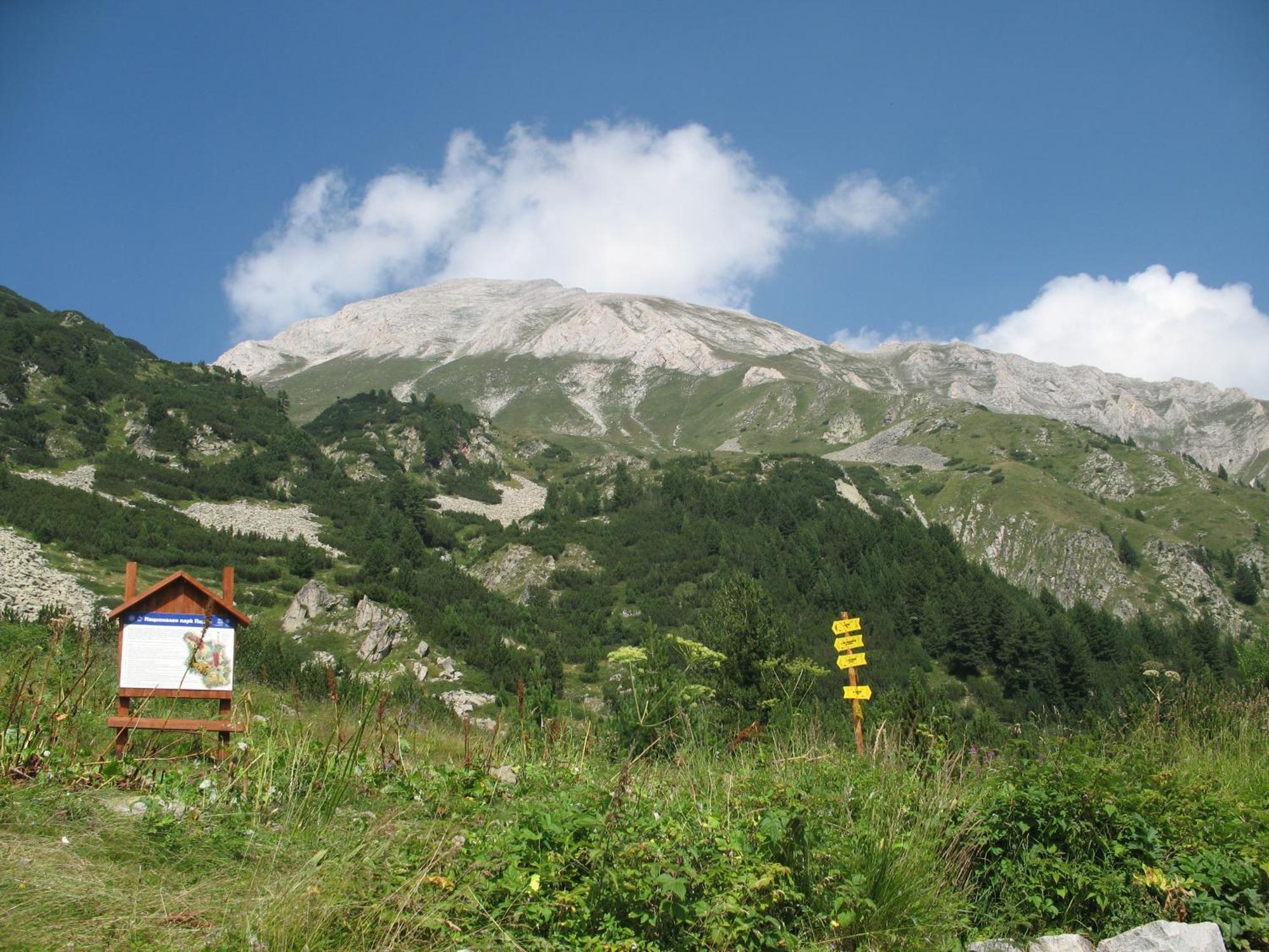 Hotel Dumanov Bansko Exterior foto